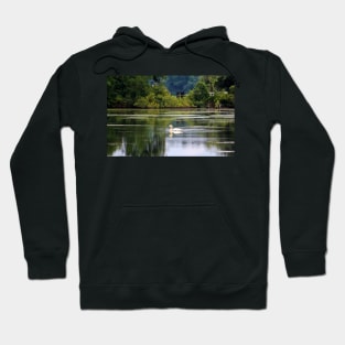 Swan Lake Hoodie